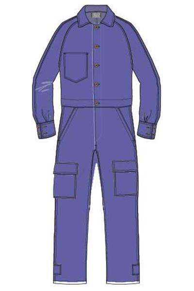 Workwear Ladies Overalls - Purple 